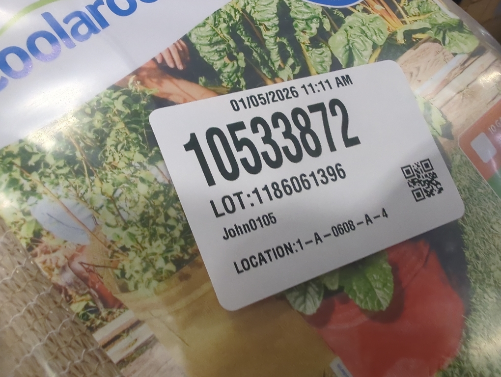 Coolaroo 2-Pack 5 Gallon Heavy Duty Plant/Vegetable/Herb/Fruit Breathable Fabric Grow Planter Pot Bags with Handles, Desert Sand