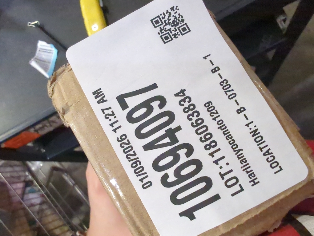 ChrisDowa Cordless Zebra Blinds for Windows, Dual Layer Free-Stop Light Filtering Window Roller Shades, Pull Down Privacy Zebra Shades for Home, Office, Bedroom, Door (35 W x 72 H, White)