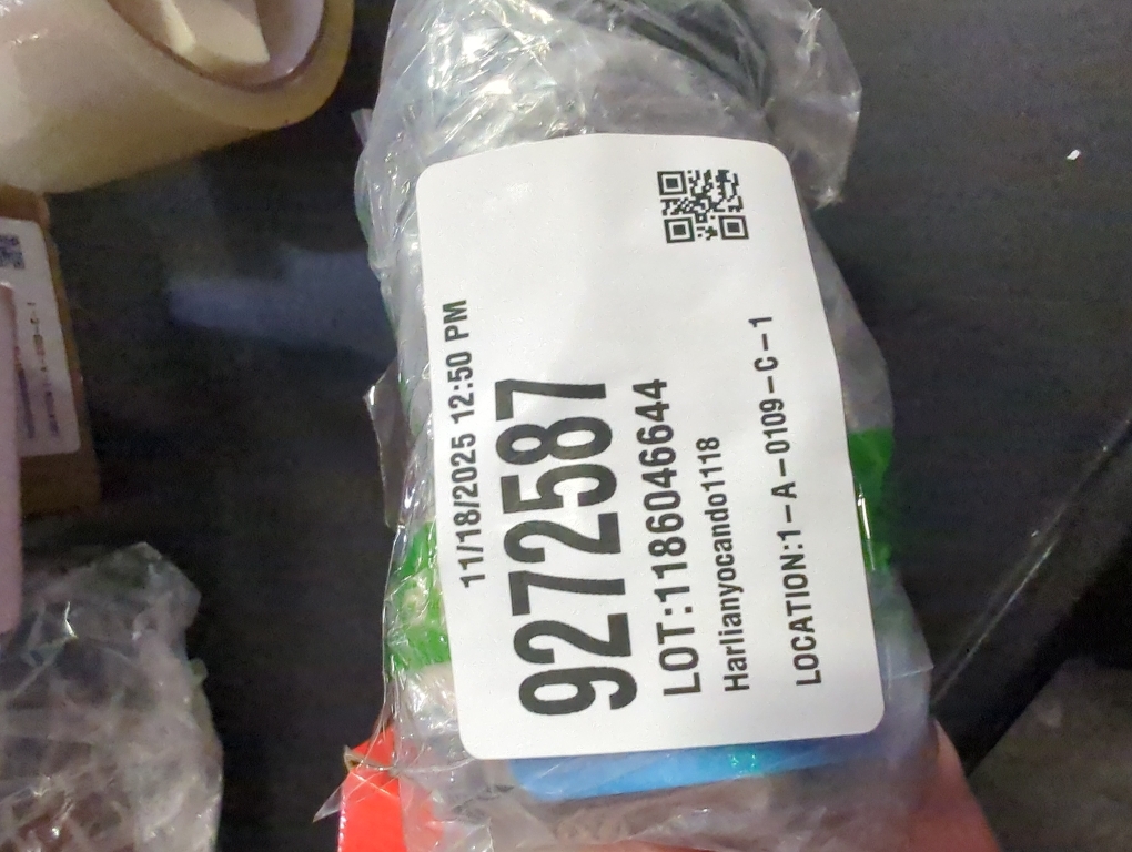 GUND Boo  the Worlds Cutest Dog  Boo & Friends Collection Yorkie Puppy