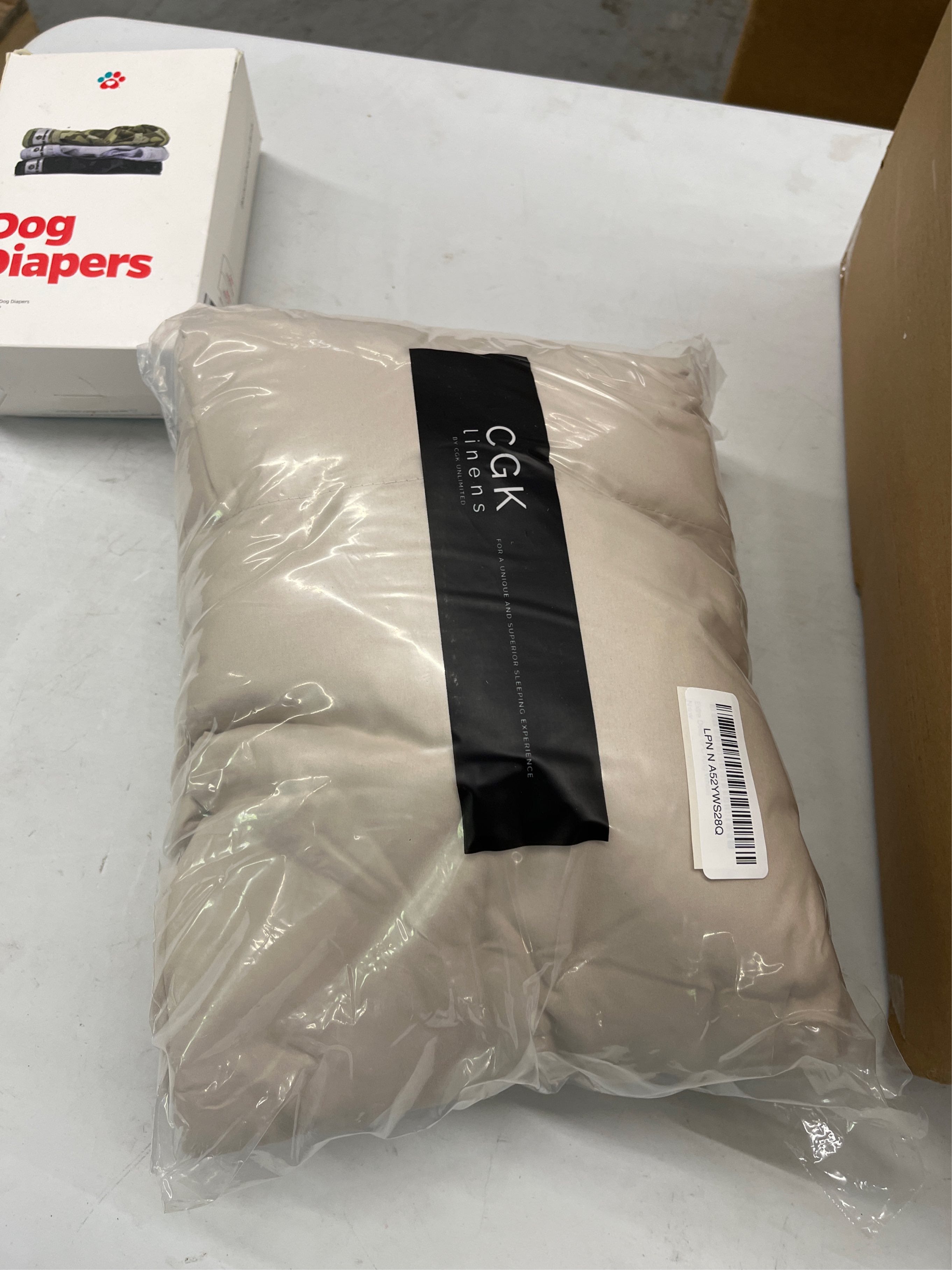 https://s3.us-central-1.wasabisys.com/manyfastscan-photos/d72a70a0-9830-4163-bc24-5879174b0115.jpg