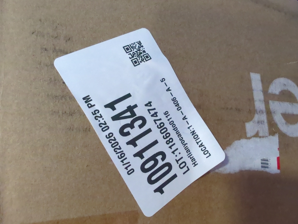 Birds Down Standard Pillow