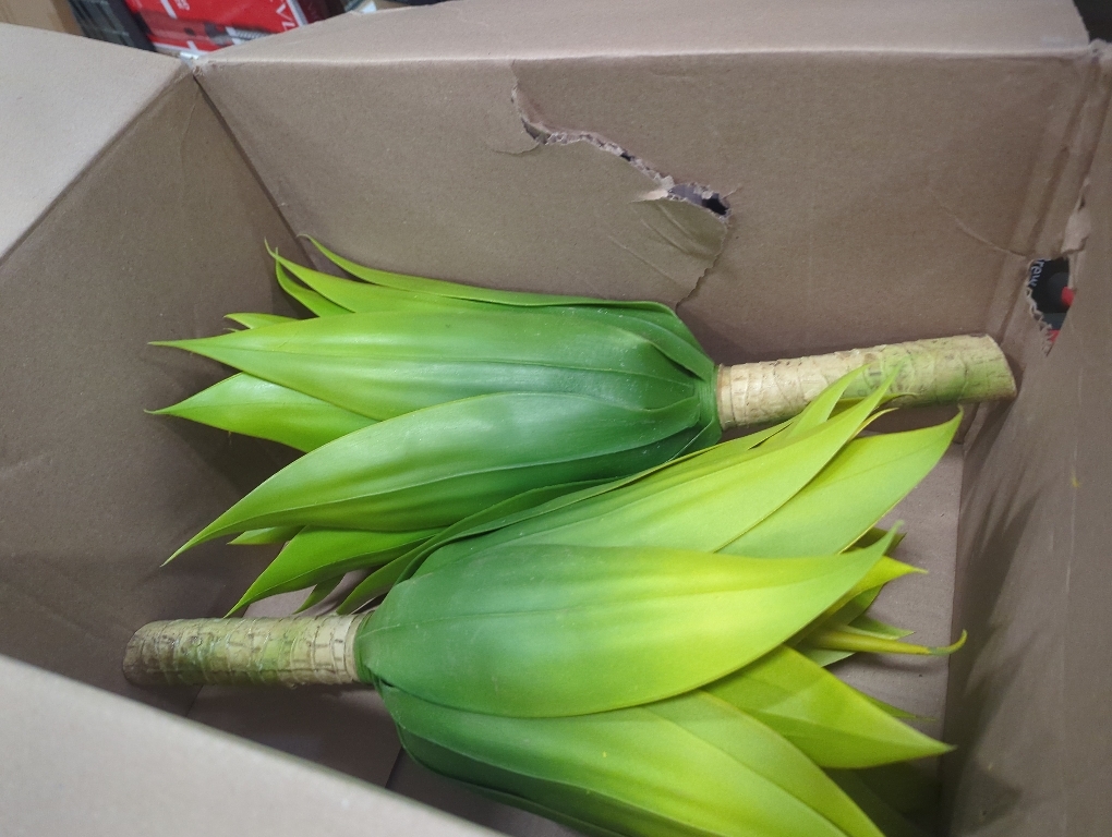 Artificial Flowers for Outdoors Artificial Agave 22'' Fake Plants Faux Agave Artificial Plants Outdoor Fake Flowers Outdoor Faux Plants Indoor Uv Resistant Artificial Plants (Yellow 2pcs)