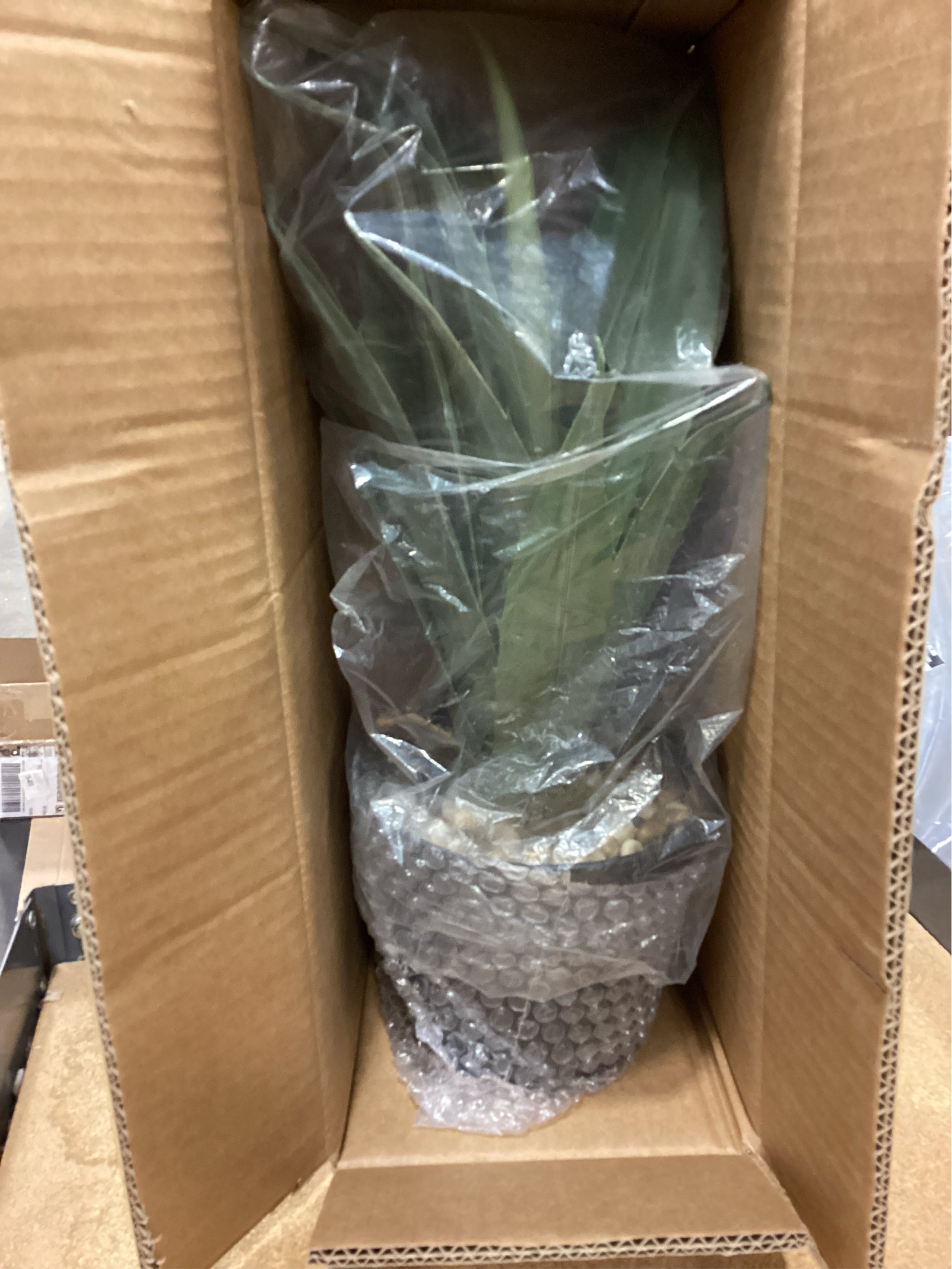 Velener Artificial Agave Plant in Black Pot with Real Stone Pebbles, Large Fake Agave Plants for Indoor and Outdoor-15 inches Tall, 81 Leaves