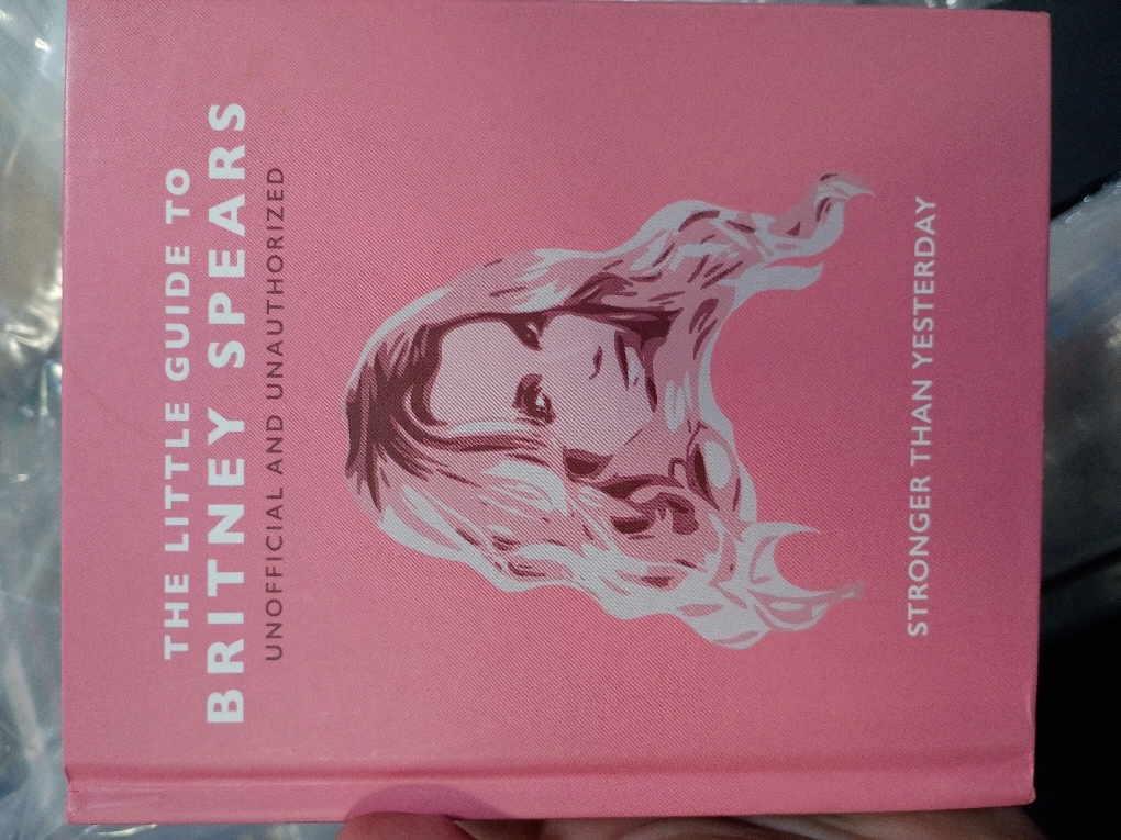 The Little Guide to Britney Spears: Stronger than Yesterday (Little Books of Music)