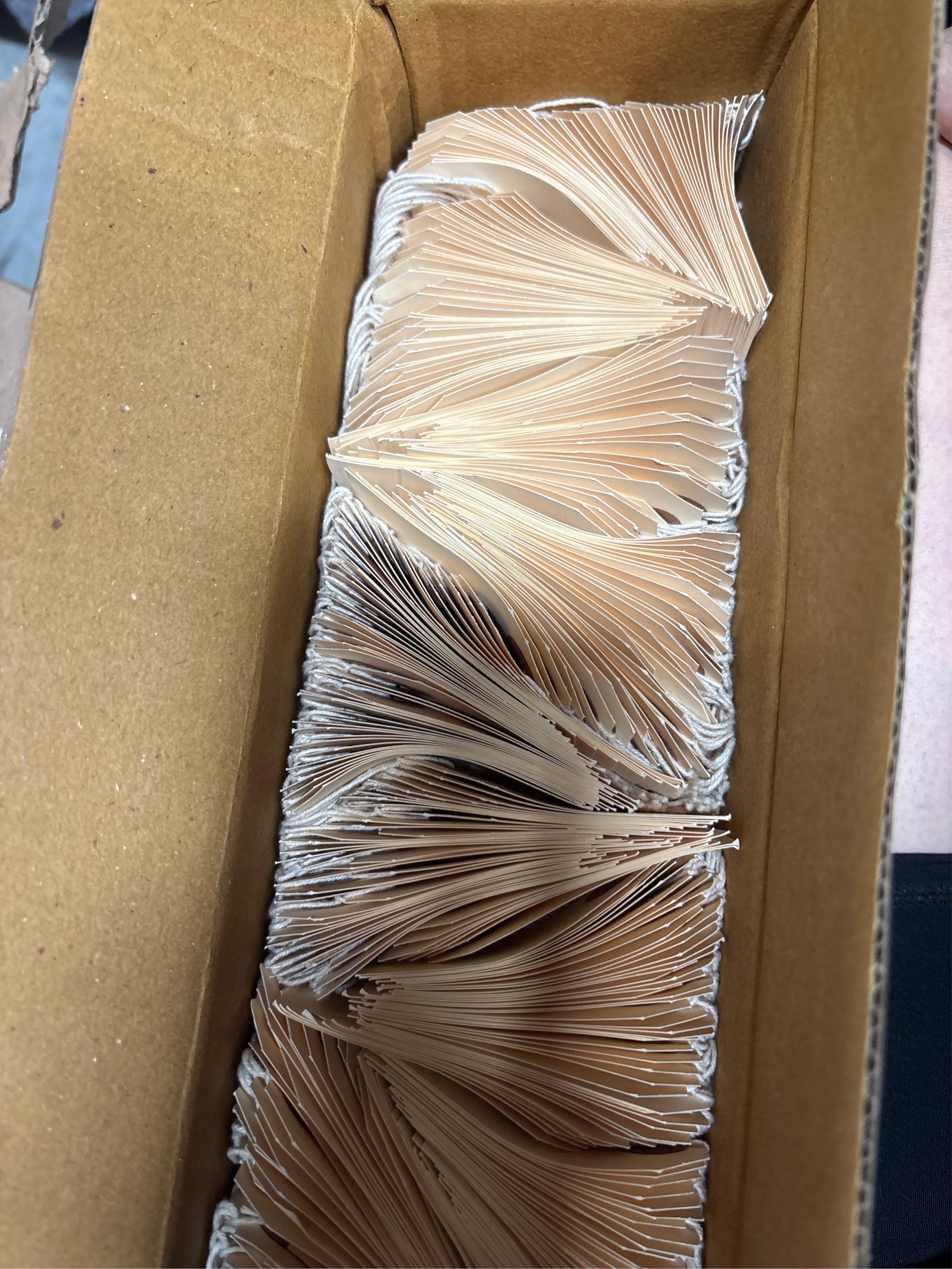 SmartSign Blank Shipping Tags with Pre-Attached Loop Strings, Size-1, Pack of 1000, 10pt Thick Manila Cardstock Tag, 1.375 x 2.75 Paper Hang Tags with Reinforced Fiber Patch