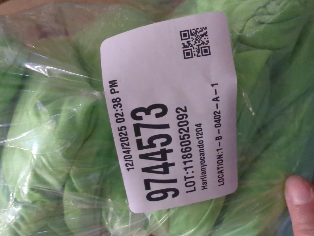 Green Newwiee 6 Pcs Black Mardi Gras Spandex Stretch Chair Cover Bulk Waterproofs Dining Seat Protectors Fitted Universal Chair Protector Removable Washable Slipcovers for Wedding Party Celebration