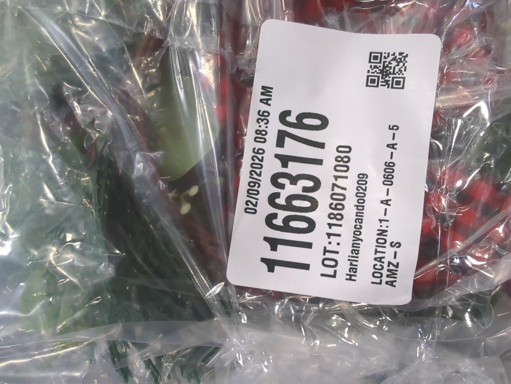 4 Pcs 9.5 Mini Christmas Wreath for Cabinets, Christmas Wreath for Kitchen Decor, Mini Wreaths with Ribbon and Cherry, Door or Kitchen Decor