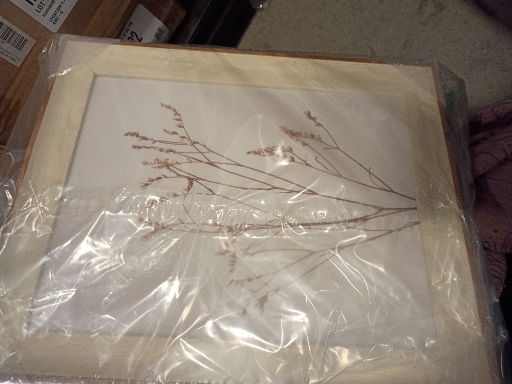 VIYYIEA Framed Wall Art Set Dried Botanical Canvas Prints Wall Decor Bathroom Art Aesthetic Modern Wall Pictures Minimalist Floral Home Decor for Living Room Bedroom Office 10x12 Inch