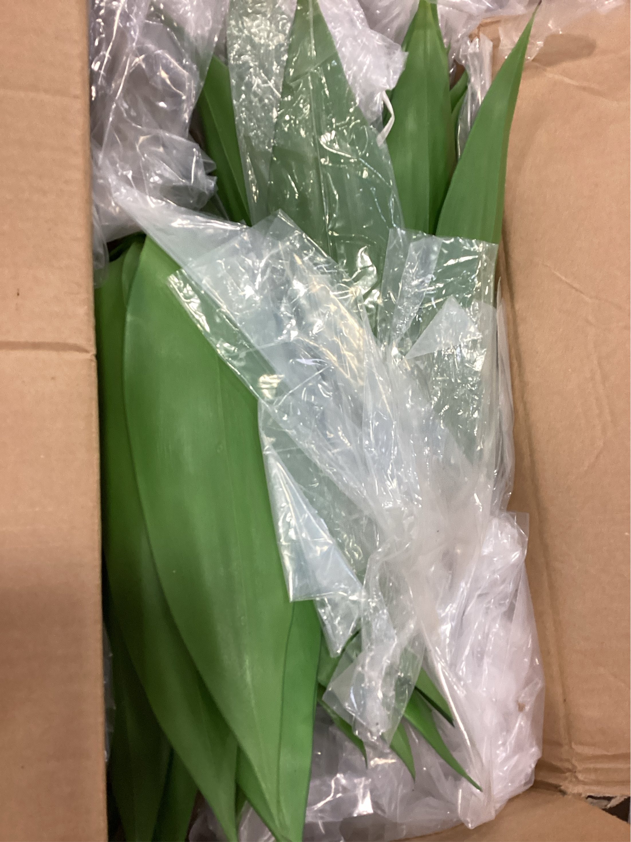 Velener 28 Inch Artificial Agave Plants Outdoor Set, Large Fake Plants Indoor for Home Decor, Realistic UV Resistant Faux Succulents Plants Without Pot, Set of 2