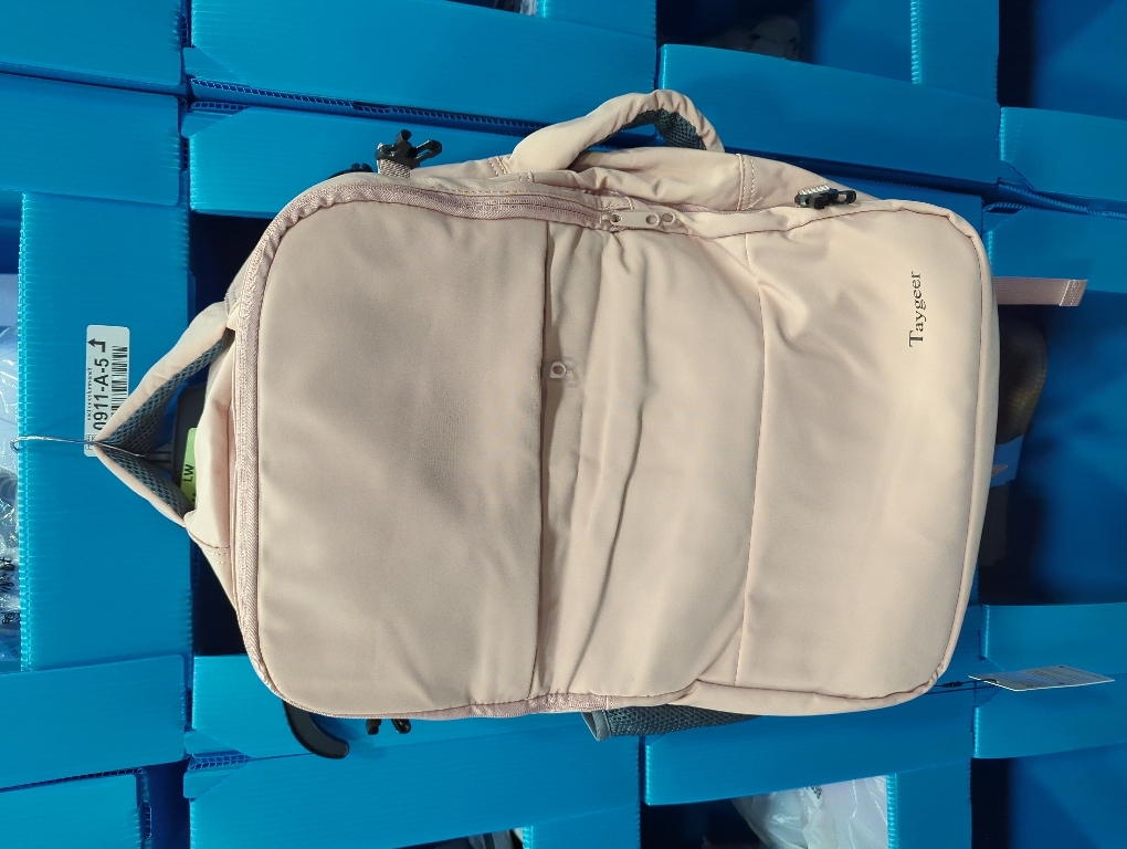 Taygeer Travel Backpack for Women, Carry On Backpack with USB Charging Port & Shoe Pouch, TSA 15.6inch Laptop Mochila Flight Approved, Nurse Bag Casual Daypack for Weekender Business Hiking, Pink