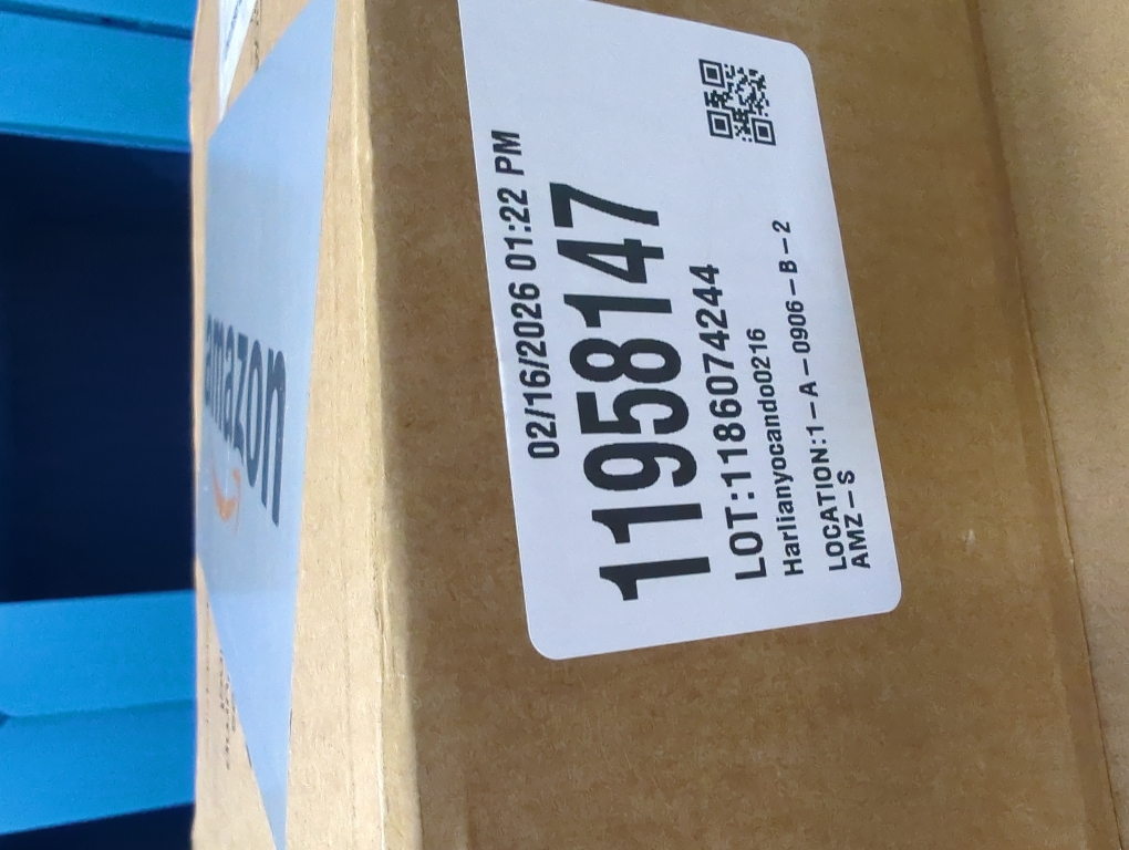 24 inch Norfolk Pine Wreath, Realistic Christmas Wreath for Front Door,Artificial Real Touch Green Wreath Greenery for Door Wall Windows Mantle Outdoor Christmas Decoration