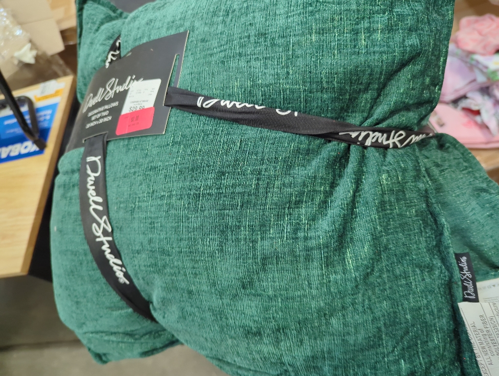 Dwell Studio Set of 2 Green Decorative Pillow 20 x 20