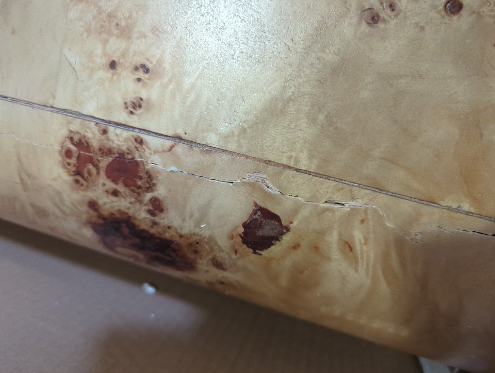 New Pacific Direct Adriel Burl Wood Coffee Table