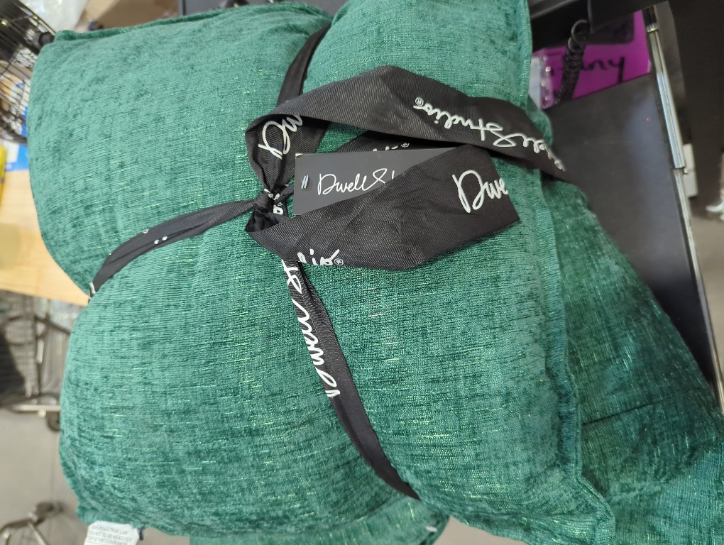 Dwell Studio Set of 2 Green Decorative Pillow 20 x 20