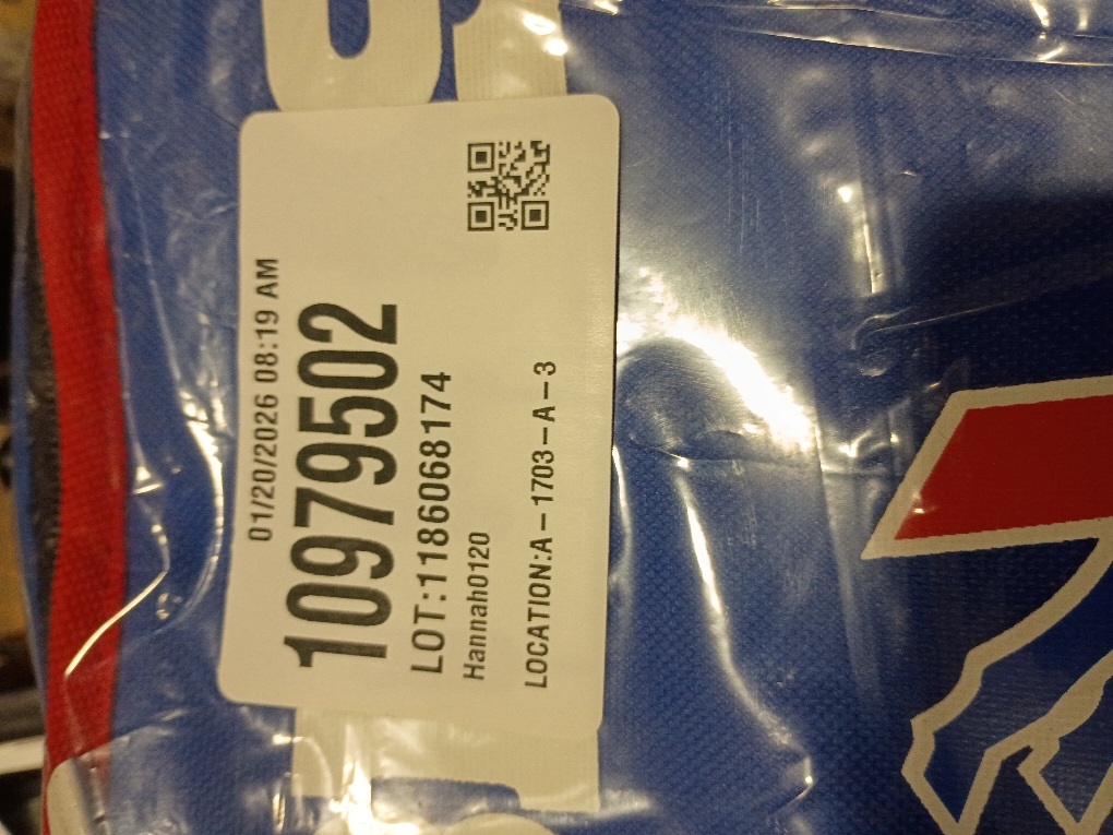 Buffalo Bills Sacked Insulated Lunch Cooler Bag