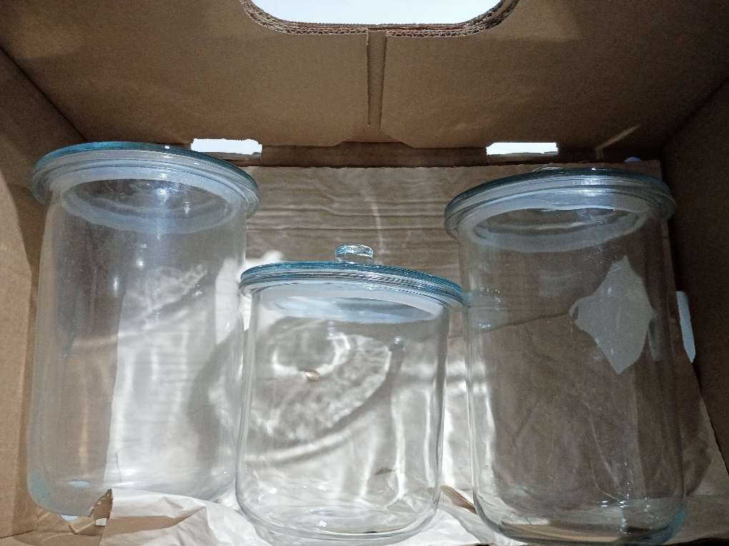 Set of 3 Glass Jar