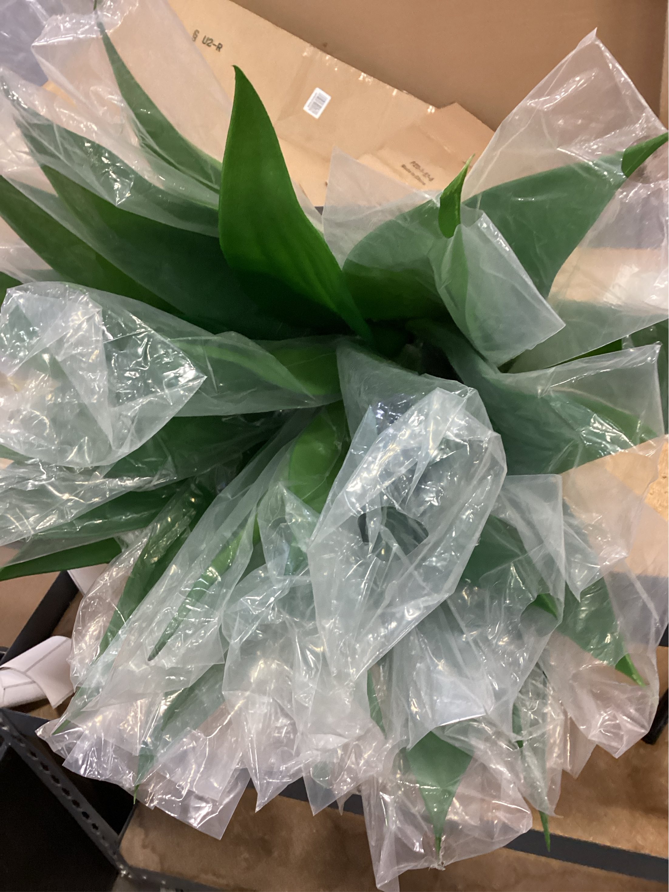 Velener Artificial Agave Plant,18 Inch, Faux Aesthetic Plants for Home Decor, Realistic UV Resistant Fake Agave Plants Without Pot, Set of 1