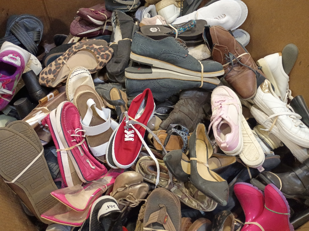 12204602 Gaylord of Paired Shoes