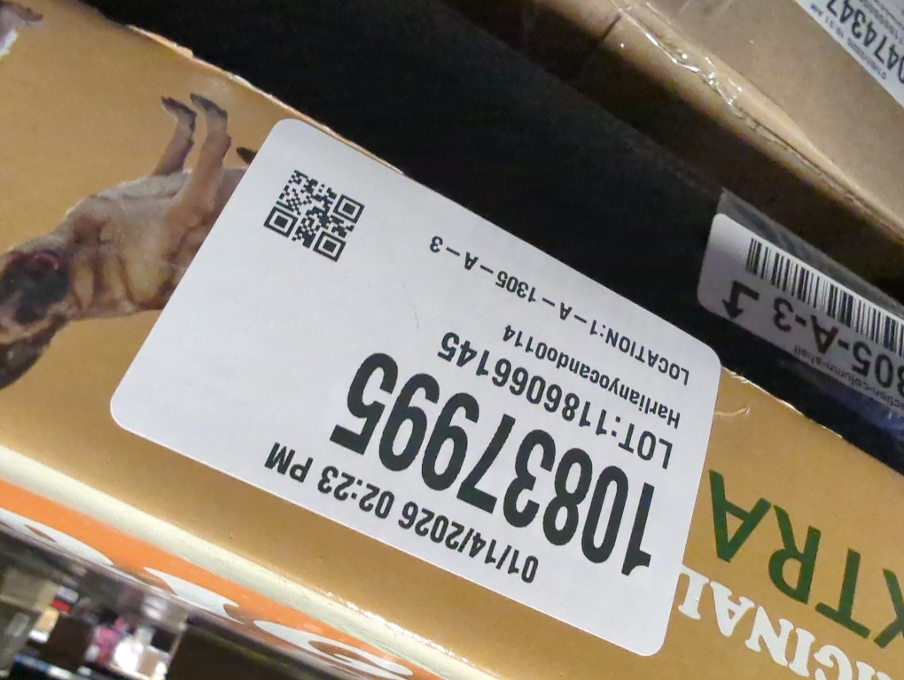 15 in. x 20 in. Extra Large Original Frame Dog and Pet Door