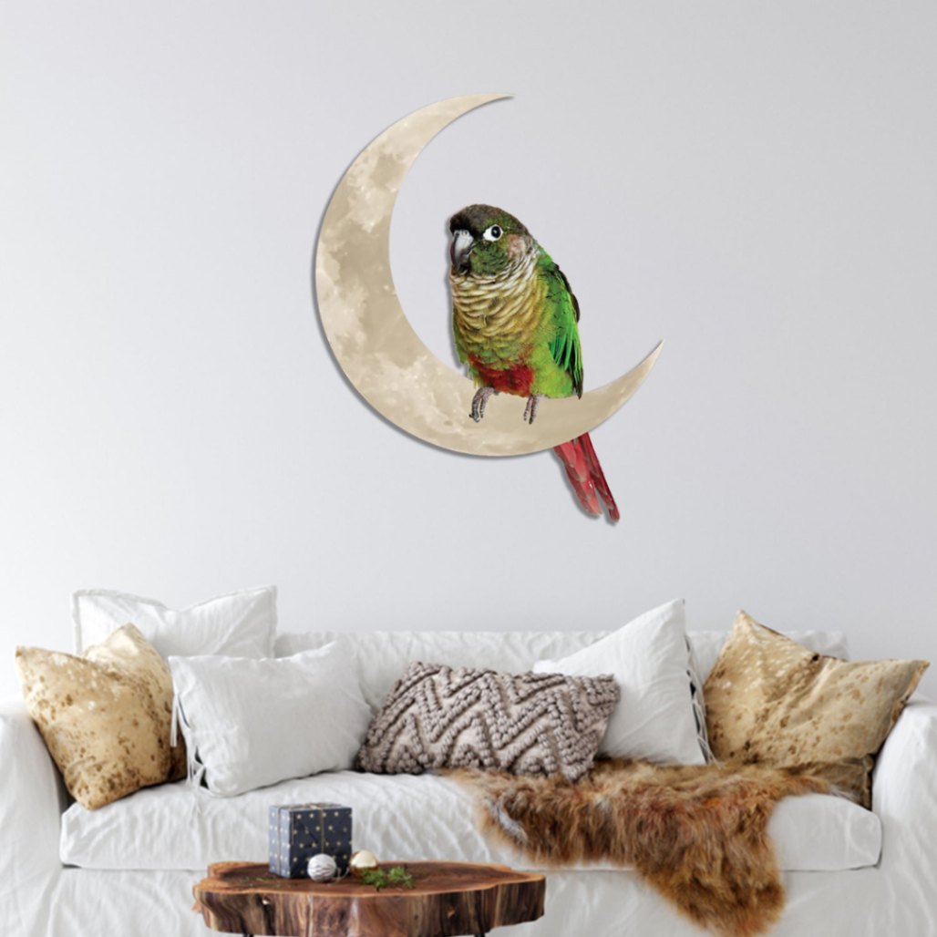 Green Parrot And Moon Decorative Metal Wall Art, Colored Home Decor, Many Sizes Available