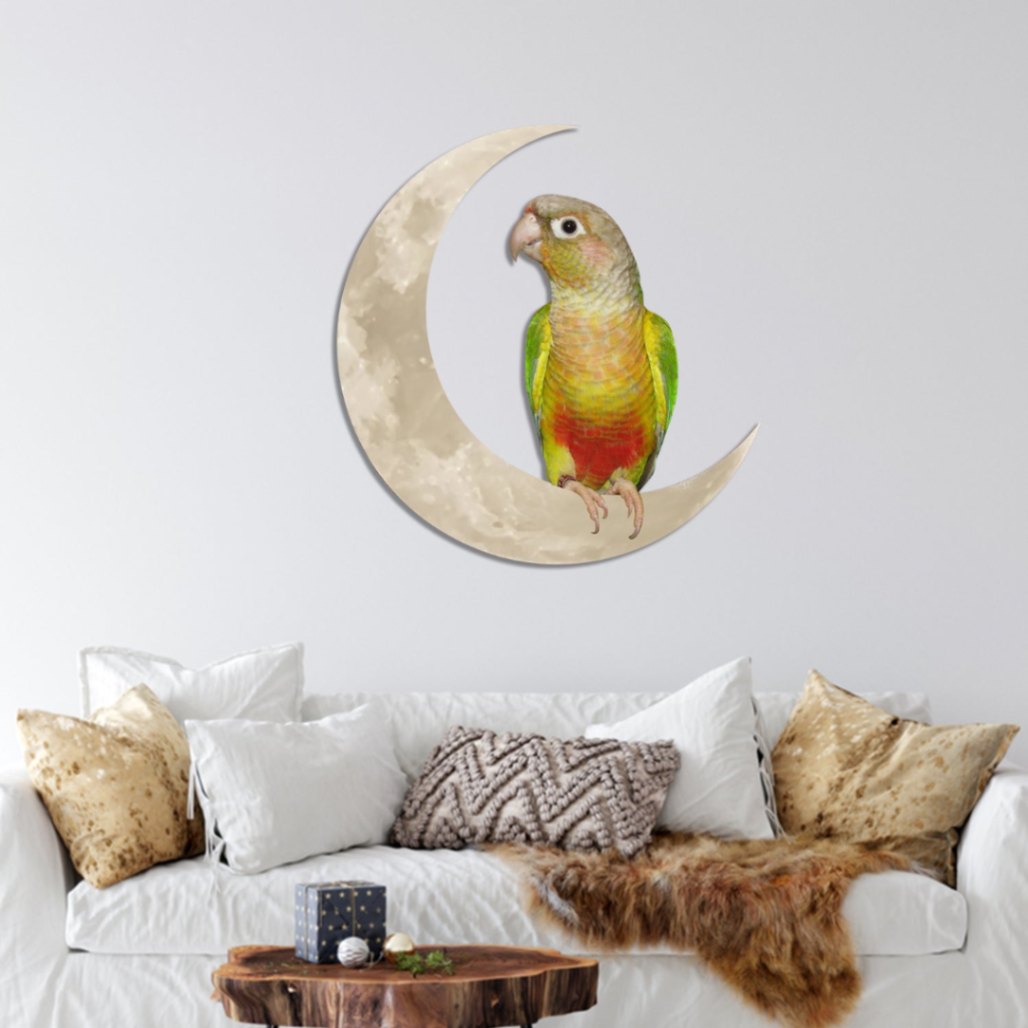 Moon And Parrot Decorative Design Colored Metal Artwork, Cute Parrot Wall Hanging