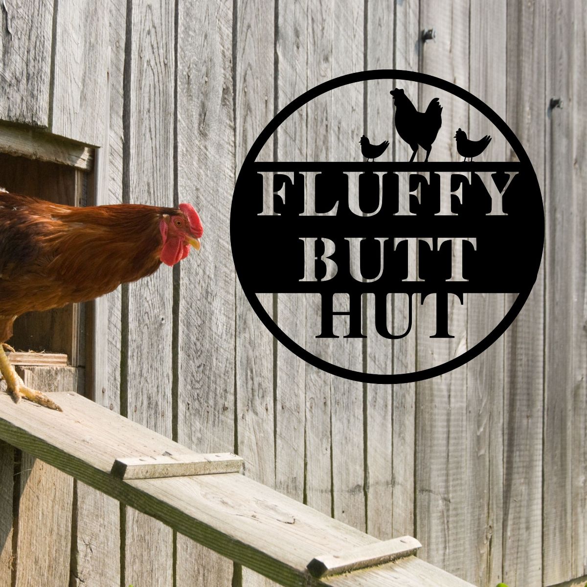 Fluffy Butt Hu, Metal Chicken Coop Garden Stake, Chicken Lawn Decor, Funny Farmhouse Yard Art, Homestead Garden Decor,