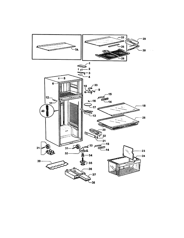 Fisher & Paykel E521TRX-21695A Refrigerator | Partswarehouse