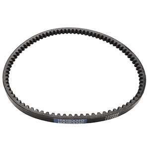 矯正用品・補助ベルト BonvolantGraduatedCompressionHighSocksLL Belt V 4LXA 12MM X 660MM Tooth #22773 for Ardisam, Earthquake