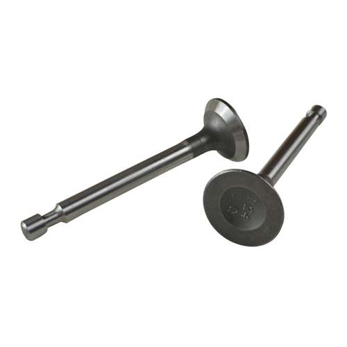 PowerStroke Valve #12110-Z240110-0000 for Homelite, Ryobi, Ridgid