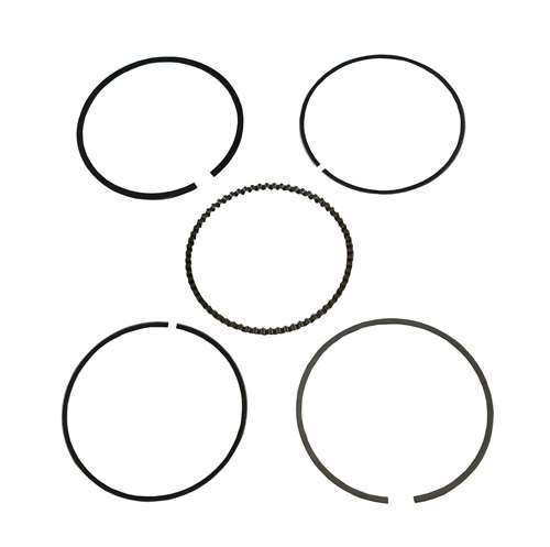 Scraper Ring Set Piston #D241606 for Homelite, Ryobi, Ridgid
