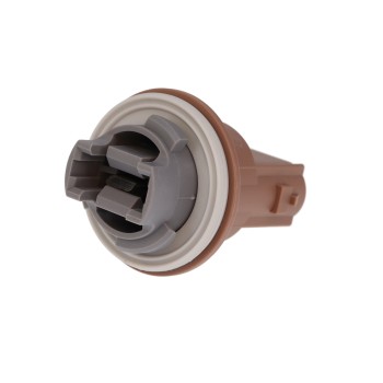 Brake Light Socket