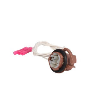 Brake Light Socket