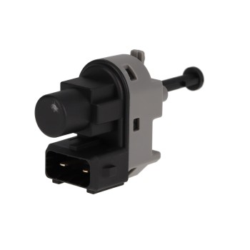 Brake Light Switch
