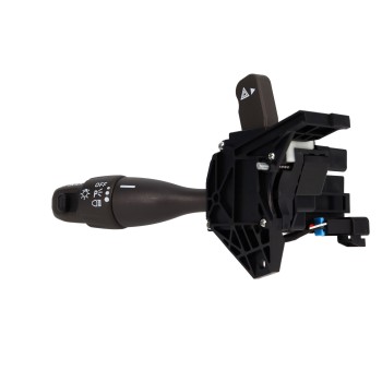 Cruise Control Switch