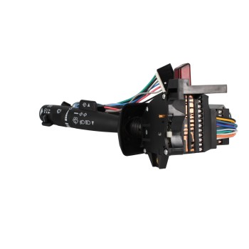 Cruise Control Switch