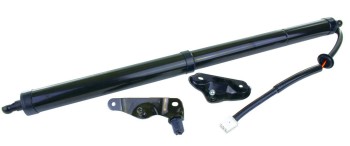 Liftgate Lift Support