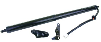 Liftgate Lift Support