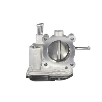 Fuel Injection Throttle Body