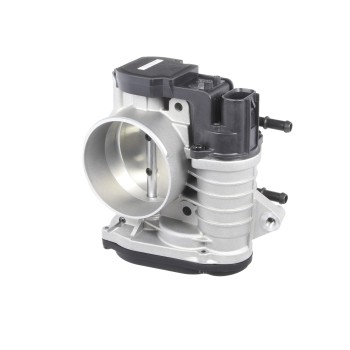 Fuel Injection Throttle Body