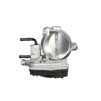 Fuel Injection Throttle Body
