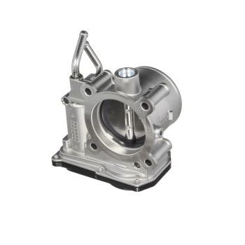 Fuel Injection Throttle Body