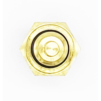 Engine Coolant Temperature Sensor