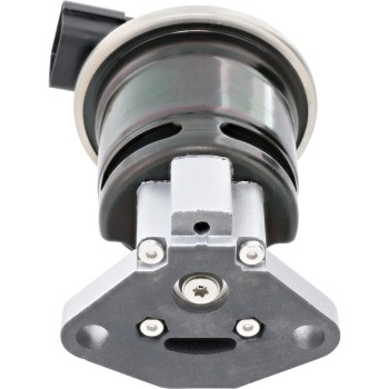 Exhaust Gas Recirculation (EGR) Valve