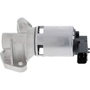 Exhaust Gas Recirculation (EGR) Valve