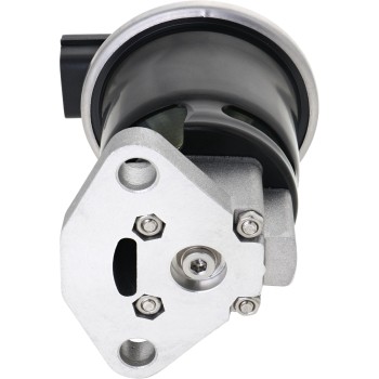 Exhaust Gas Recirculation (EGR) Valve