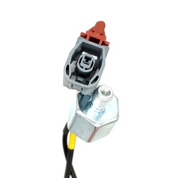 Ignition Knock (Detonation) Sensor
