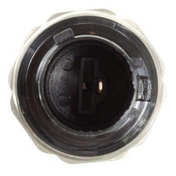 Ignition Knock (Detonation) Sensor