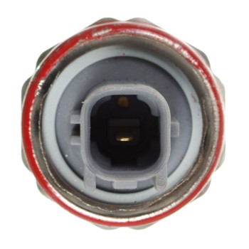 Ignition Knock (Detonation) Sensor