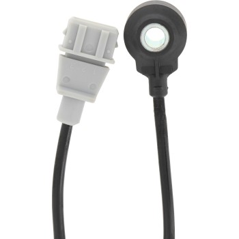 Ignition Knock (Detonation) Sensor
