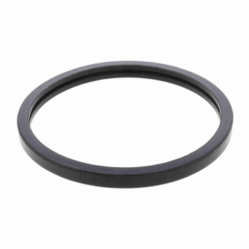 Engine Coolant Thermostat